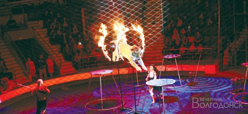 В Волгодонск на день с гастролями приедет известный цирк