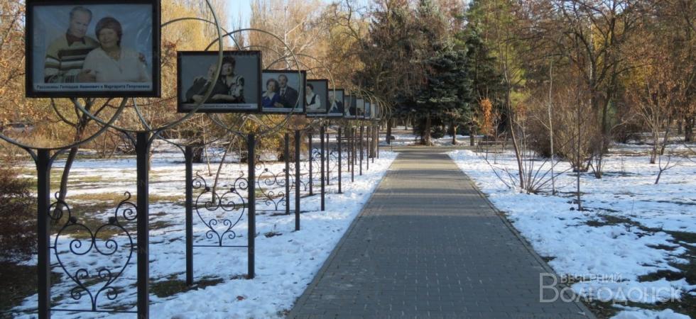 Жители Волгодонска решили, что благоустраивать нужно улицу Ленина и сквер «Семьи любви и верности»