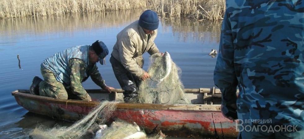 В Волгодонске продолжаются облавы на рыбаков