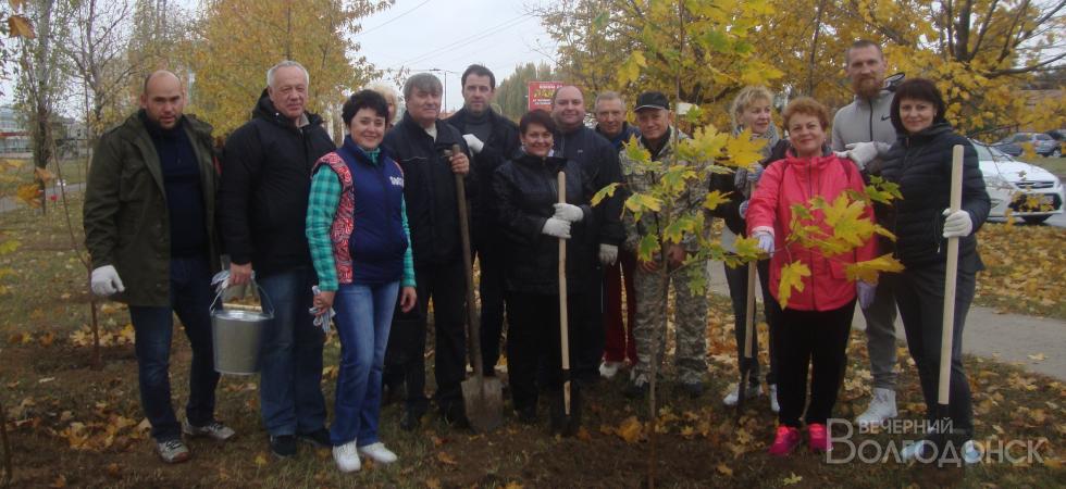 В Волгодонске посадили более 1200 саженцев деревьев и цветов
