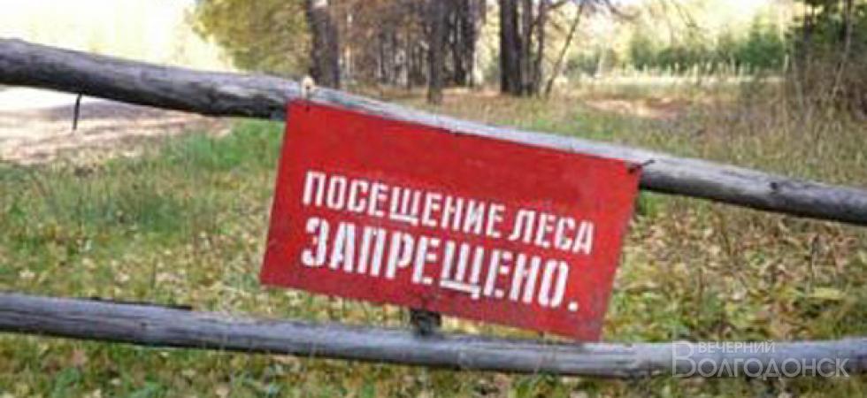 Жителям запретили посещать лес теперь до 30 июля