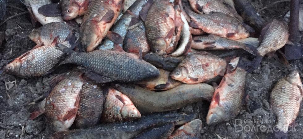 В Цимлянском районе браконьер незаконно наловил рыбы на 22 тысячи рублей
