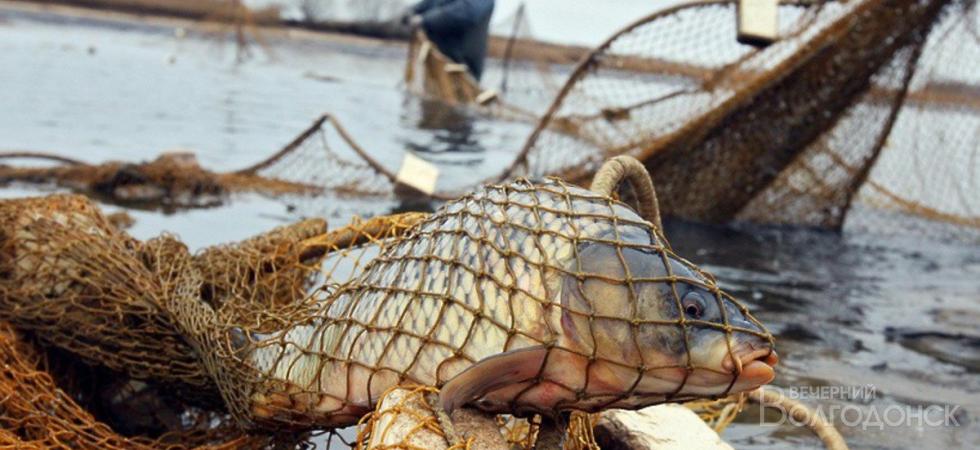 Суд взыскал ущерб с браконьеров, которых поймали в Цимлянском водохранилище в 2016 году