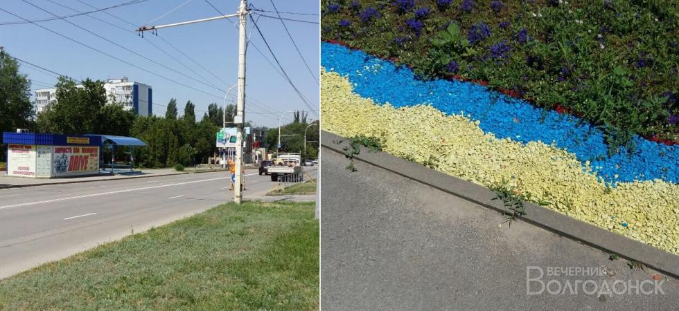 В Волгодонске выложили аллею в украинских цветах