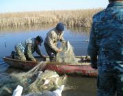 В Волгодонске продолжаются облавы на рыбаков