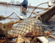 Суд взыскал ущерб с браконьеров, которых поймали в Цимлянском водохранилище в 2016 году